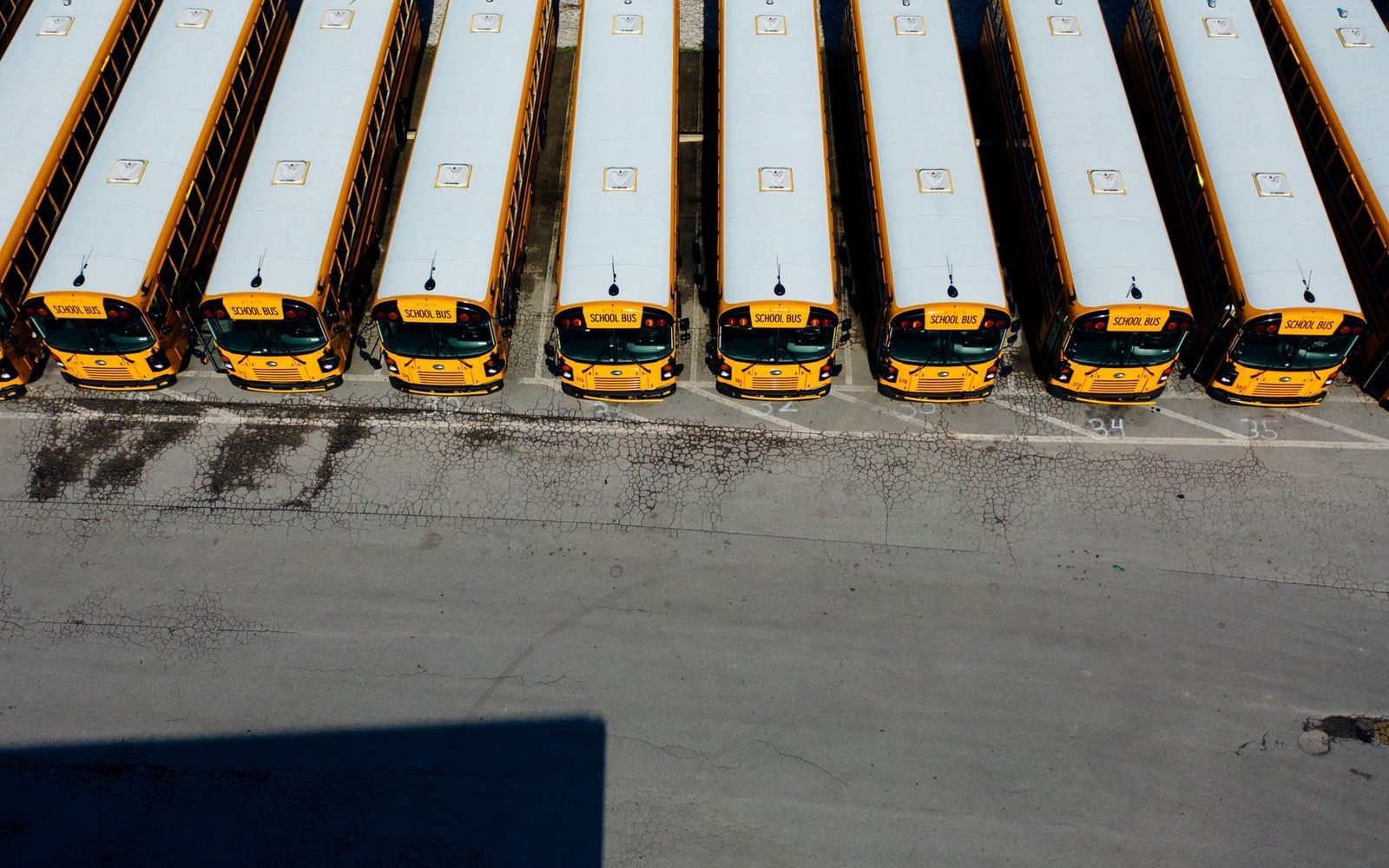 A row of yellow school buses parked in a depot yard at early morning light, shot from ground level showing the full length of the fleet
